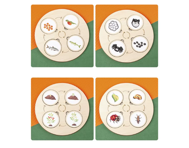 jeu d'Évolution de la nature
