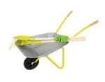 brouette & outils de jardin bleu