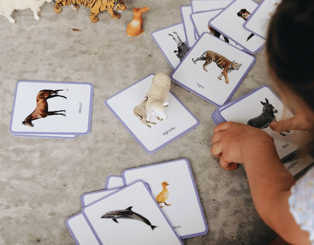 cartes de nomenclature montessori – giga mondy – 200 mots