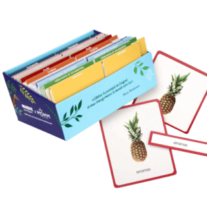 cartes de nomenclature montessori – giga mondy – 200 mots