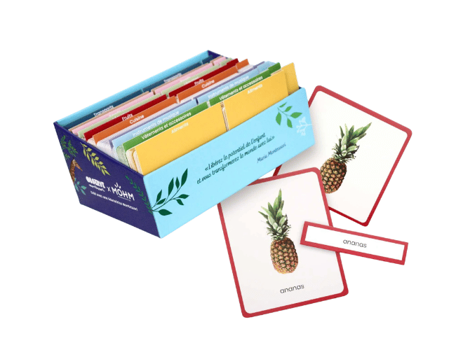 cartes de nomenclature montessori – giga mondy – 200 mots